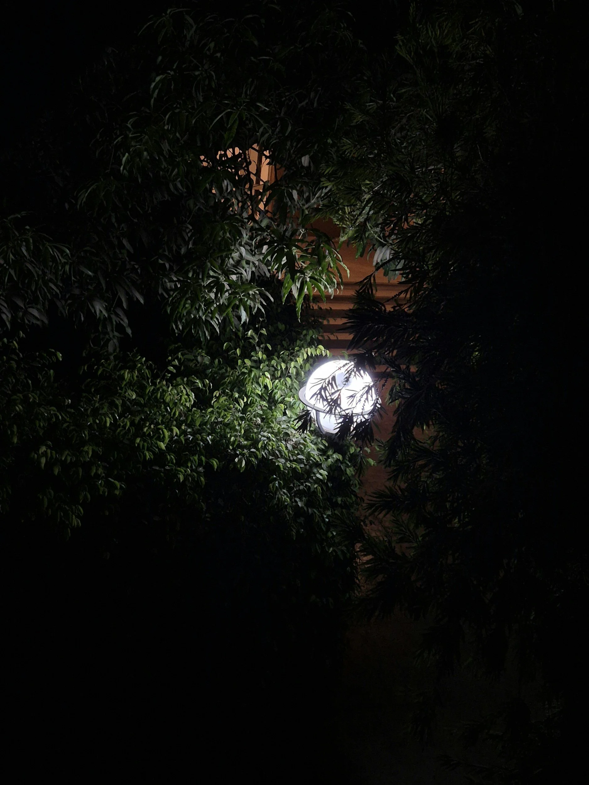 moon in the shadows - vibe lighting, florida