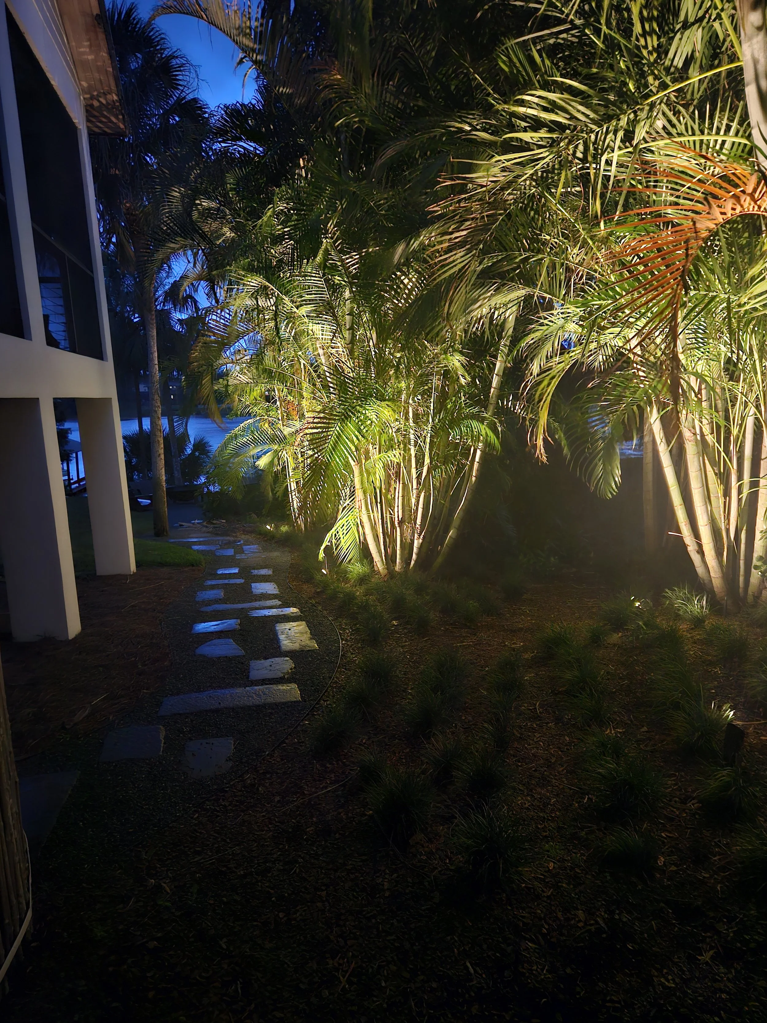 palm and tree lighting by vibe lighting