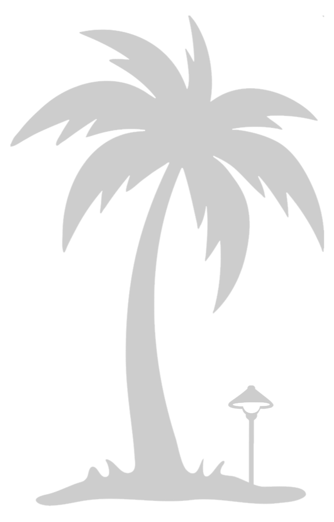 gray silver palm tree with path light