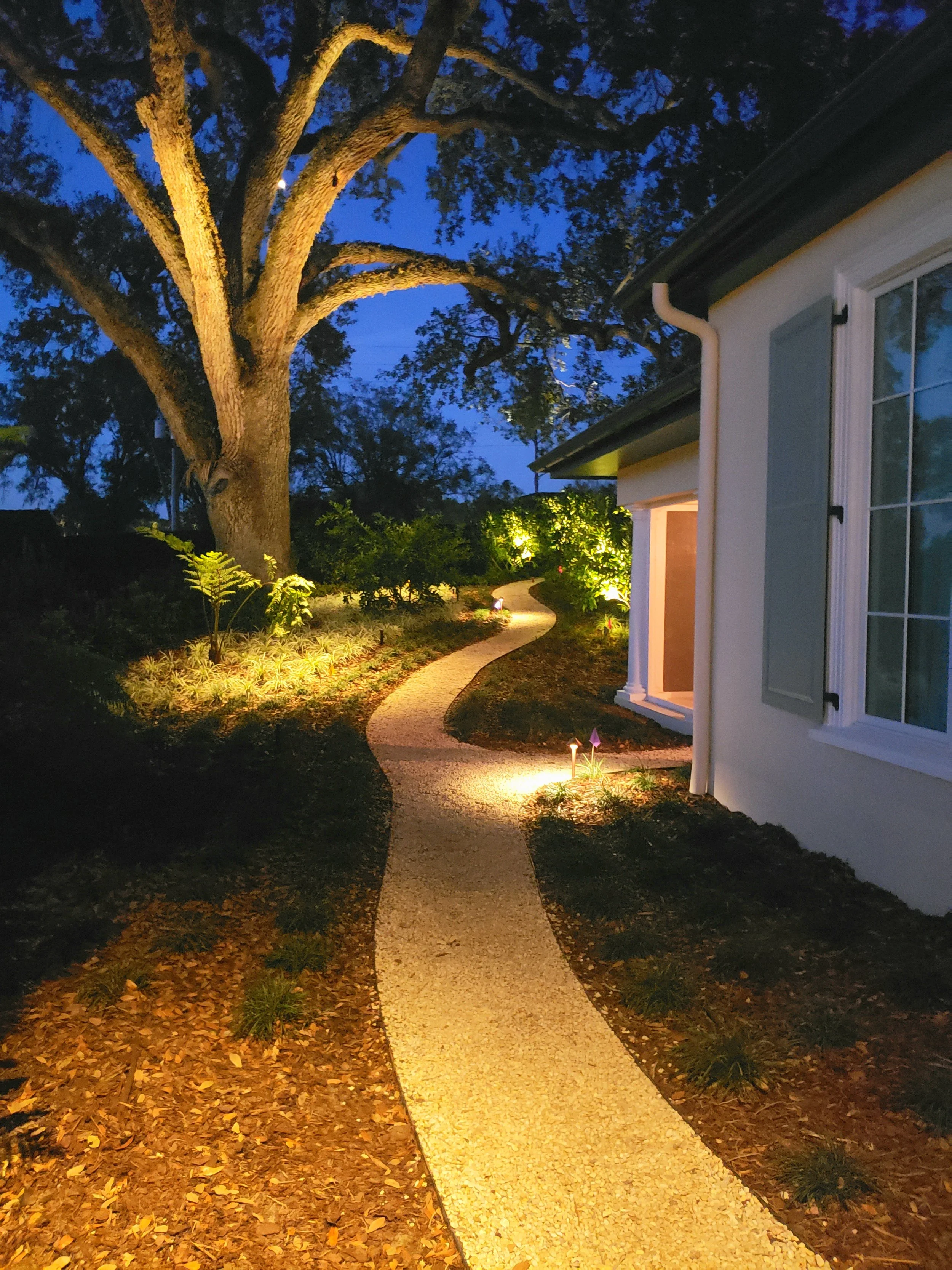 orange county florida side yard lighting by vibe lighting