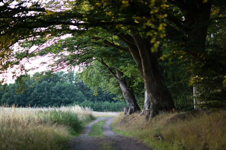 What Emotional Regulation Really Means