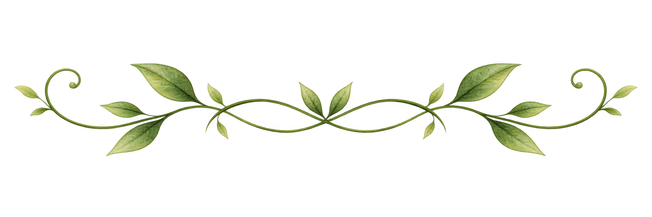 Digital illustration of a decorative green vine with leaves, curving symmetrically around a central blue rectangle.