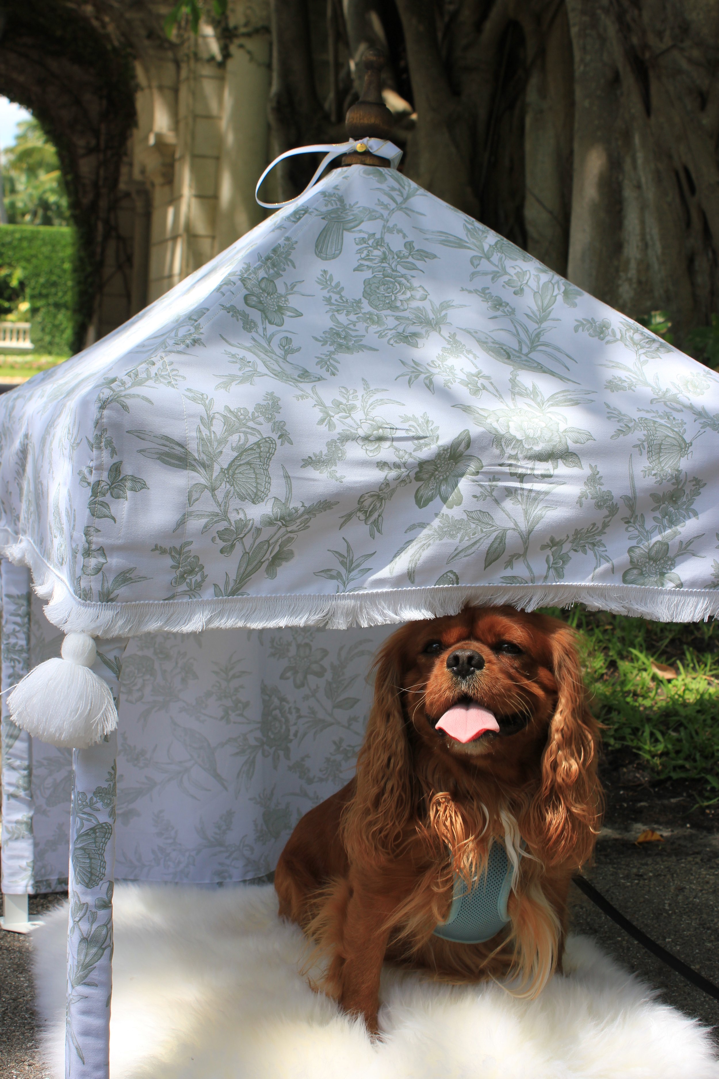 The Chinoiserie Petite Pavilion