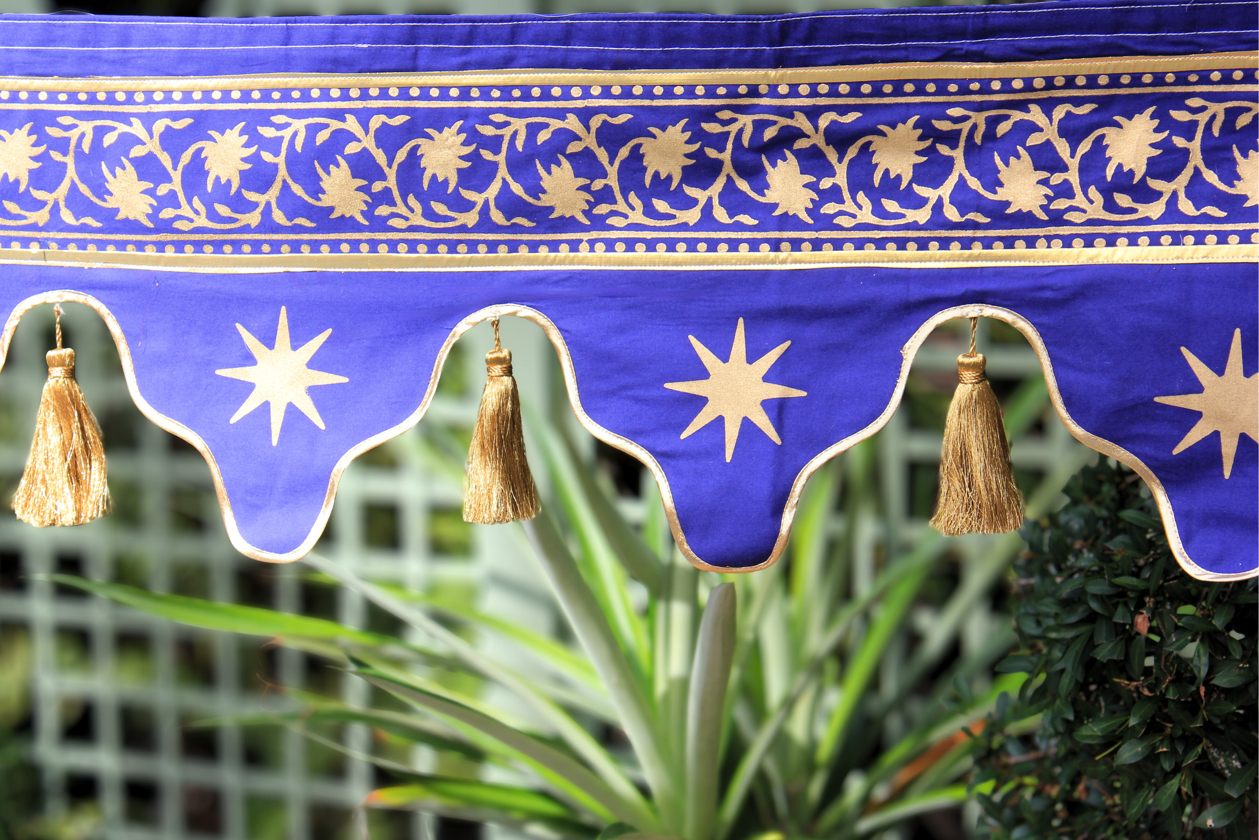 Royal Palm_Celestial_Midnight Star2.png