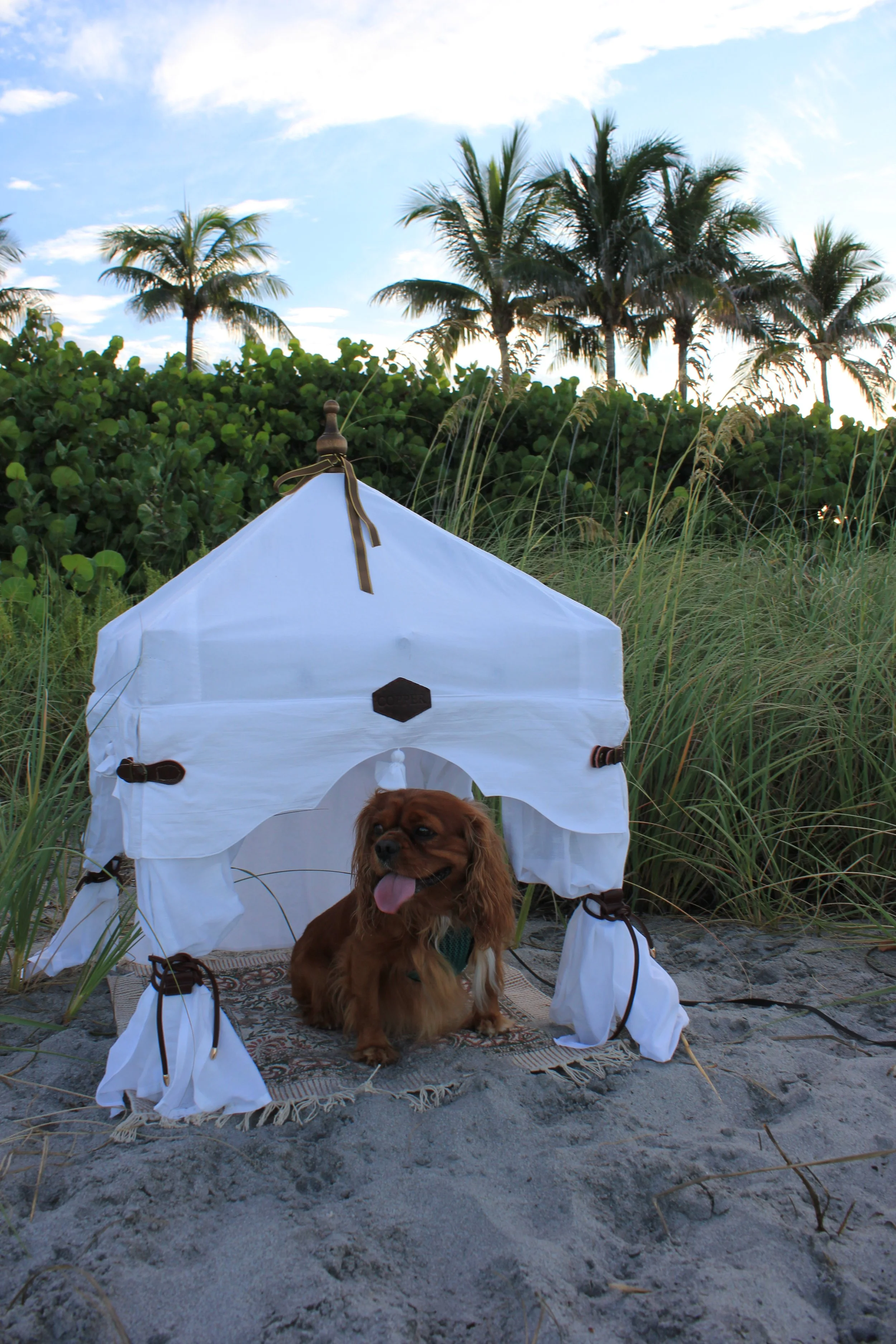 The Out of Africa Petite Pavilion