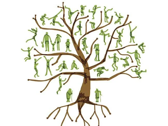 Illustration of a tree with branches and roots, filled with green human figures in various yoga poses and exercises.