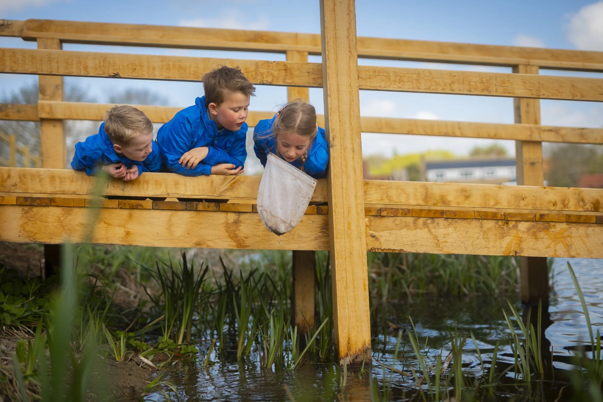 Nayland School Faves- Web_3.jpg