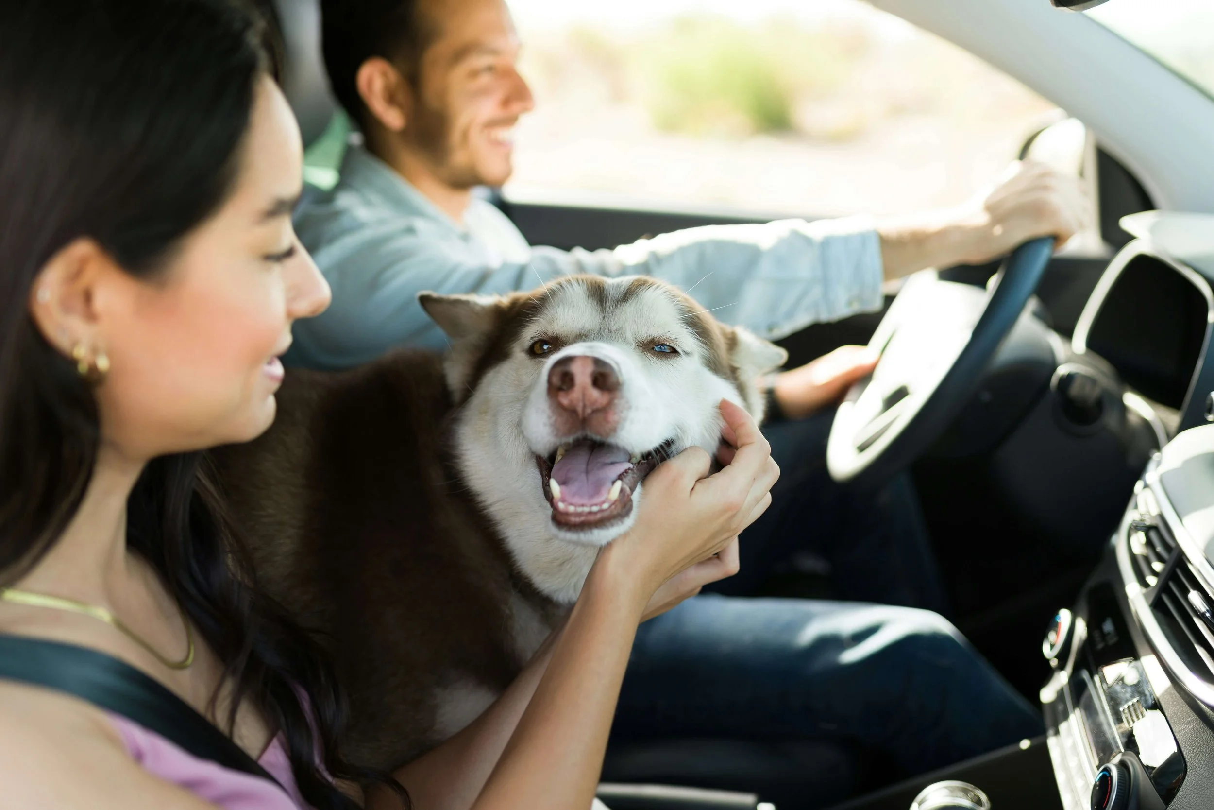 A woman and a man with a brown and white husky dog sitting in a car. The woman is petting the dog, which looks happy with its tongue out and eyes half-closed. The man is driving and smiling.