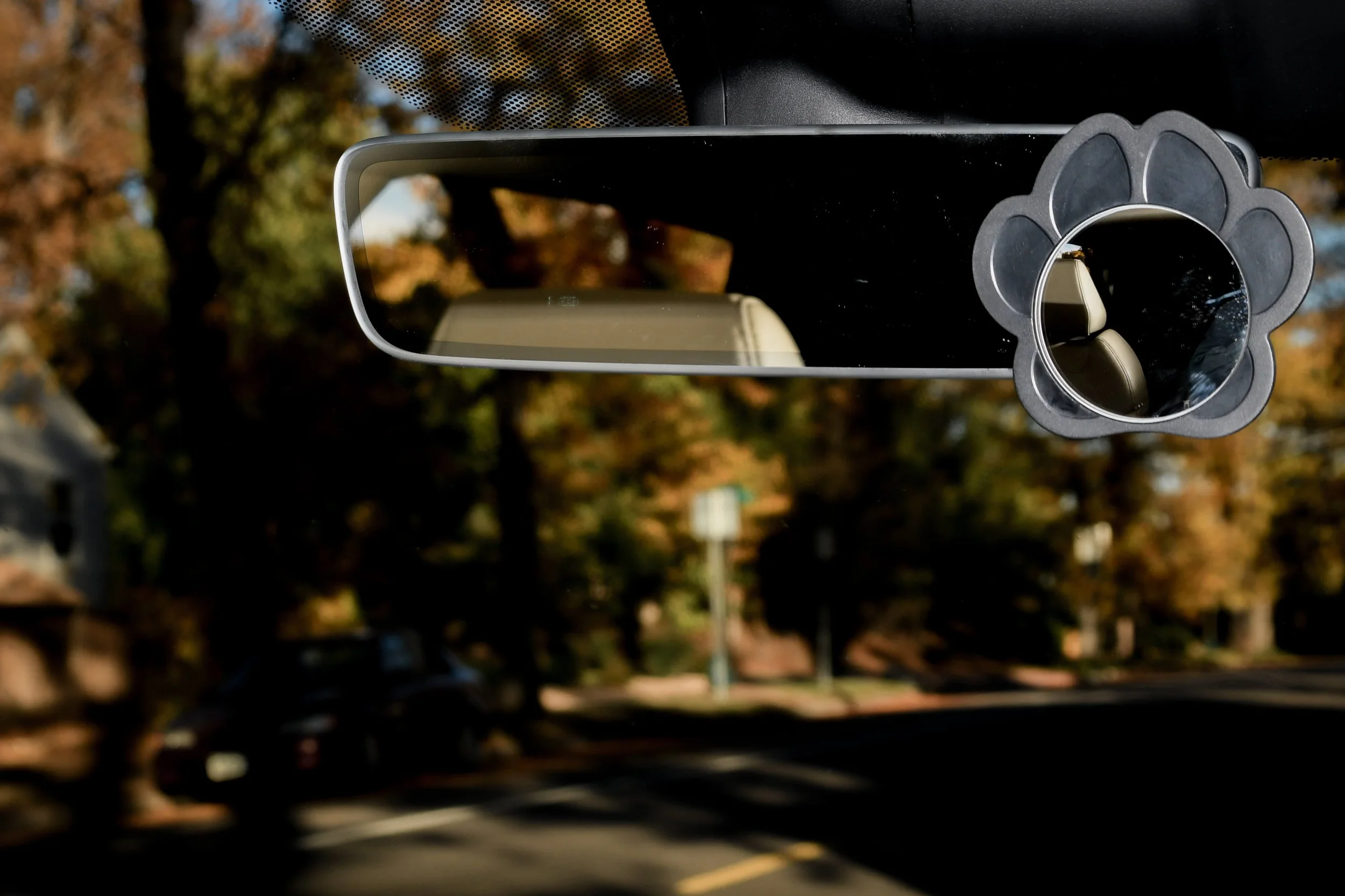 The image shows a car's rearview mirror reflecting a sunny street scene with trees and houses in the background, and a paw print-shaped object attached to the car's windshield next to the mirror.
