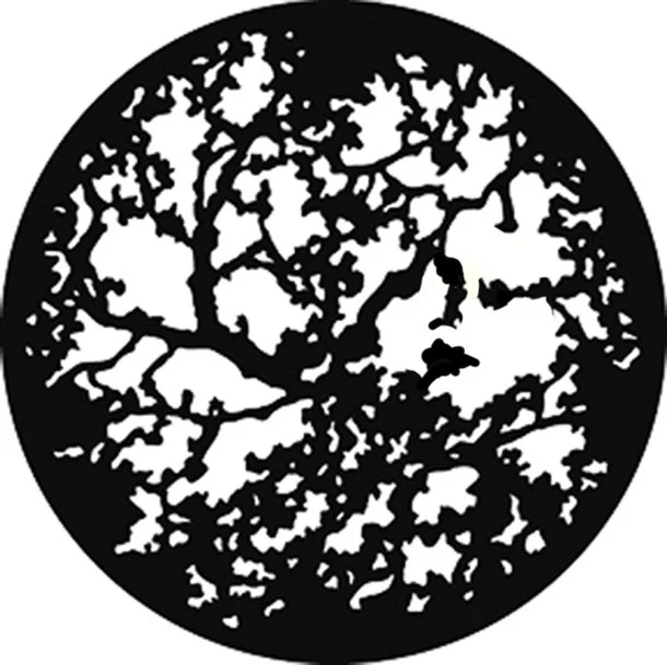 custom gobo made for The Crucible