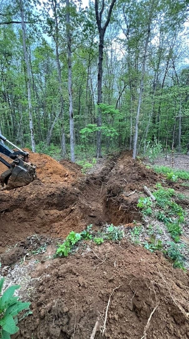 king-excavation-and-tree-services-project (11).jpg