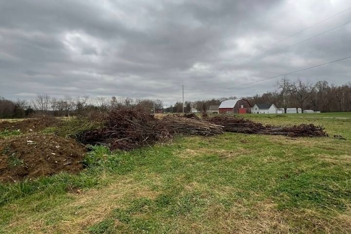 Storm damage tree cleanup in Altamont TN – removing fallen limbs and debris after storms.