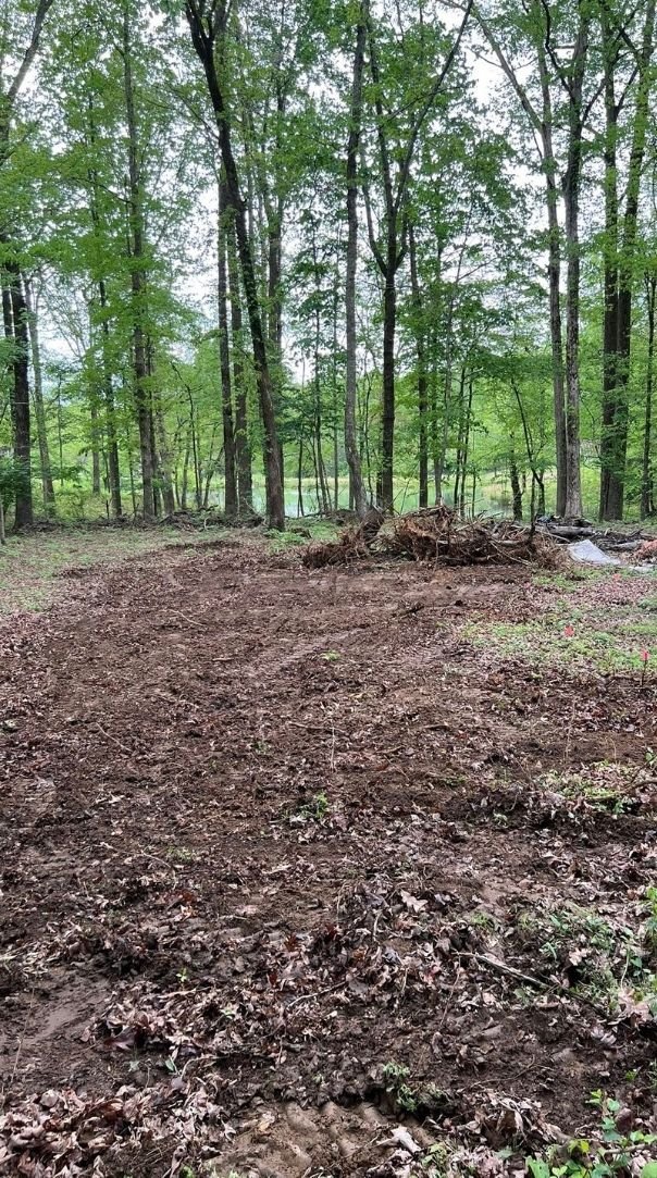 Brush removal and property cleanup in Altamont TN – clearing overgrowth and debris for land improvement.