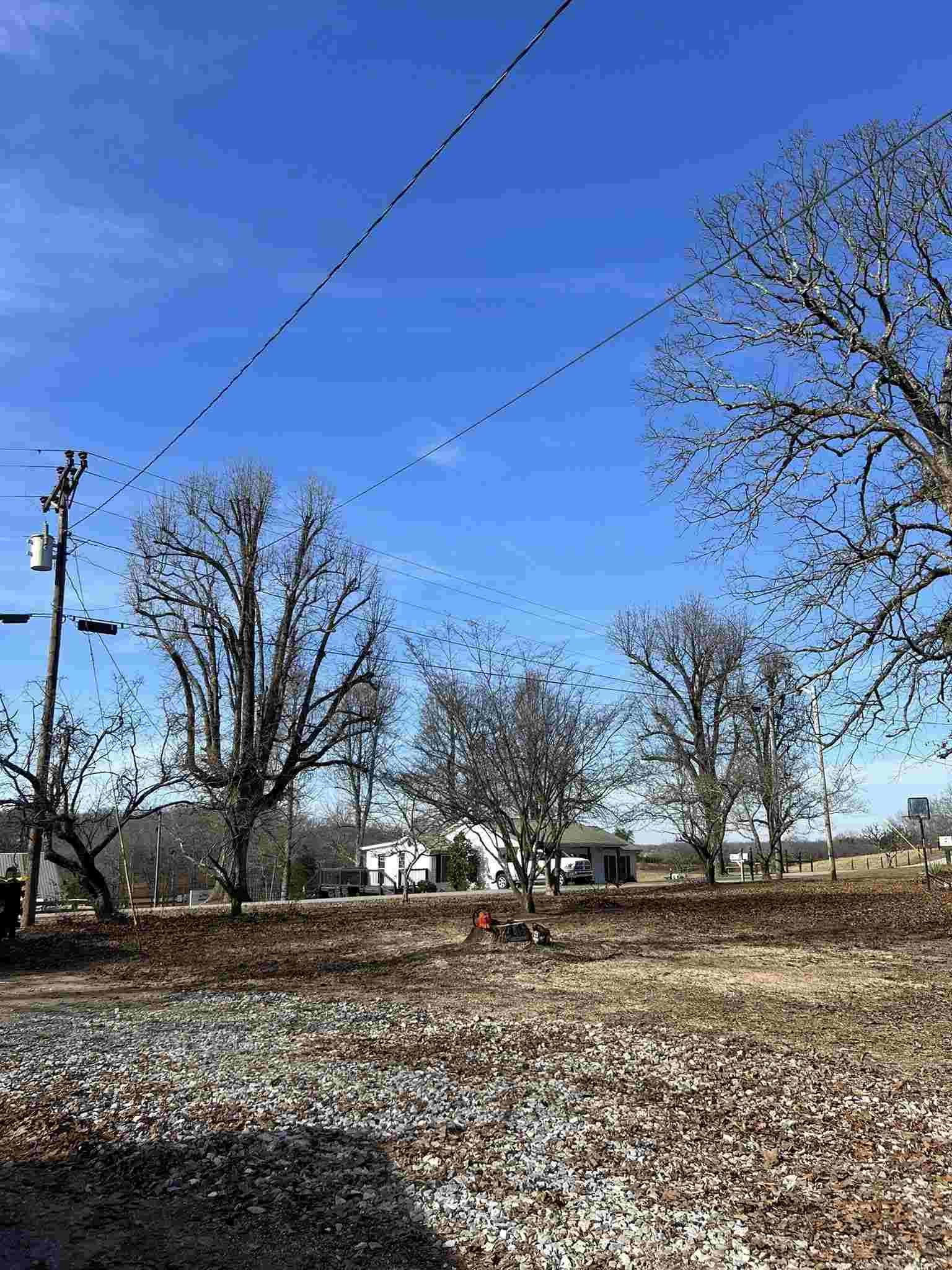 Tree removal in McMinnville, TN showing cleared area after safe removal and cleanup