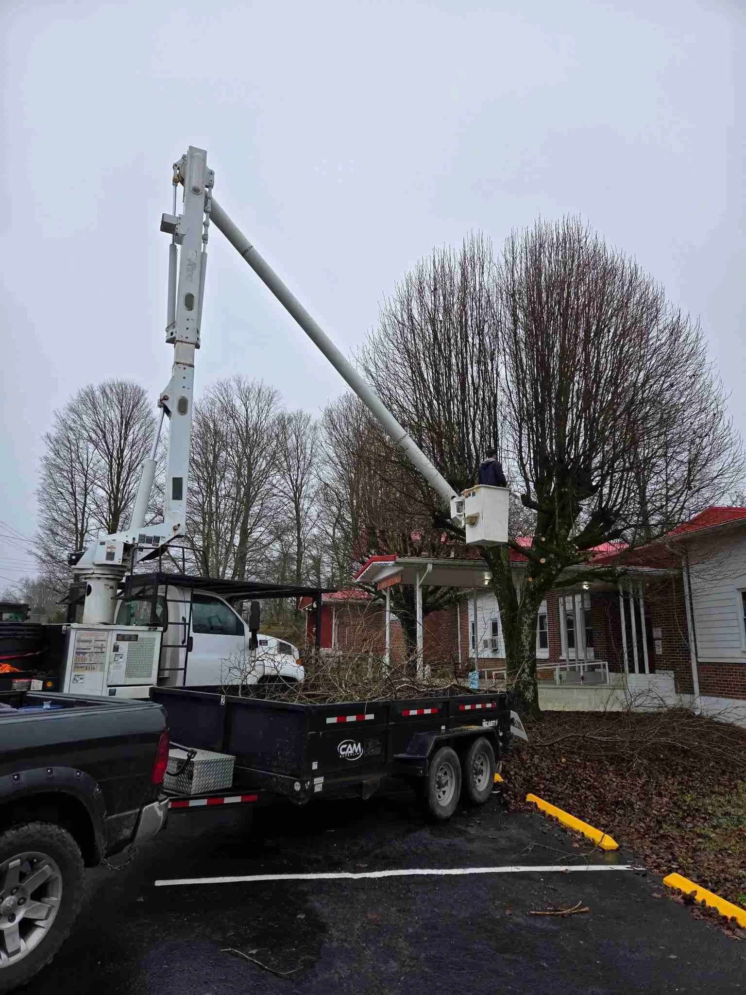 Tree trimming in Altamont, TN using a bucket truck near City Hall for safe limb removal