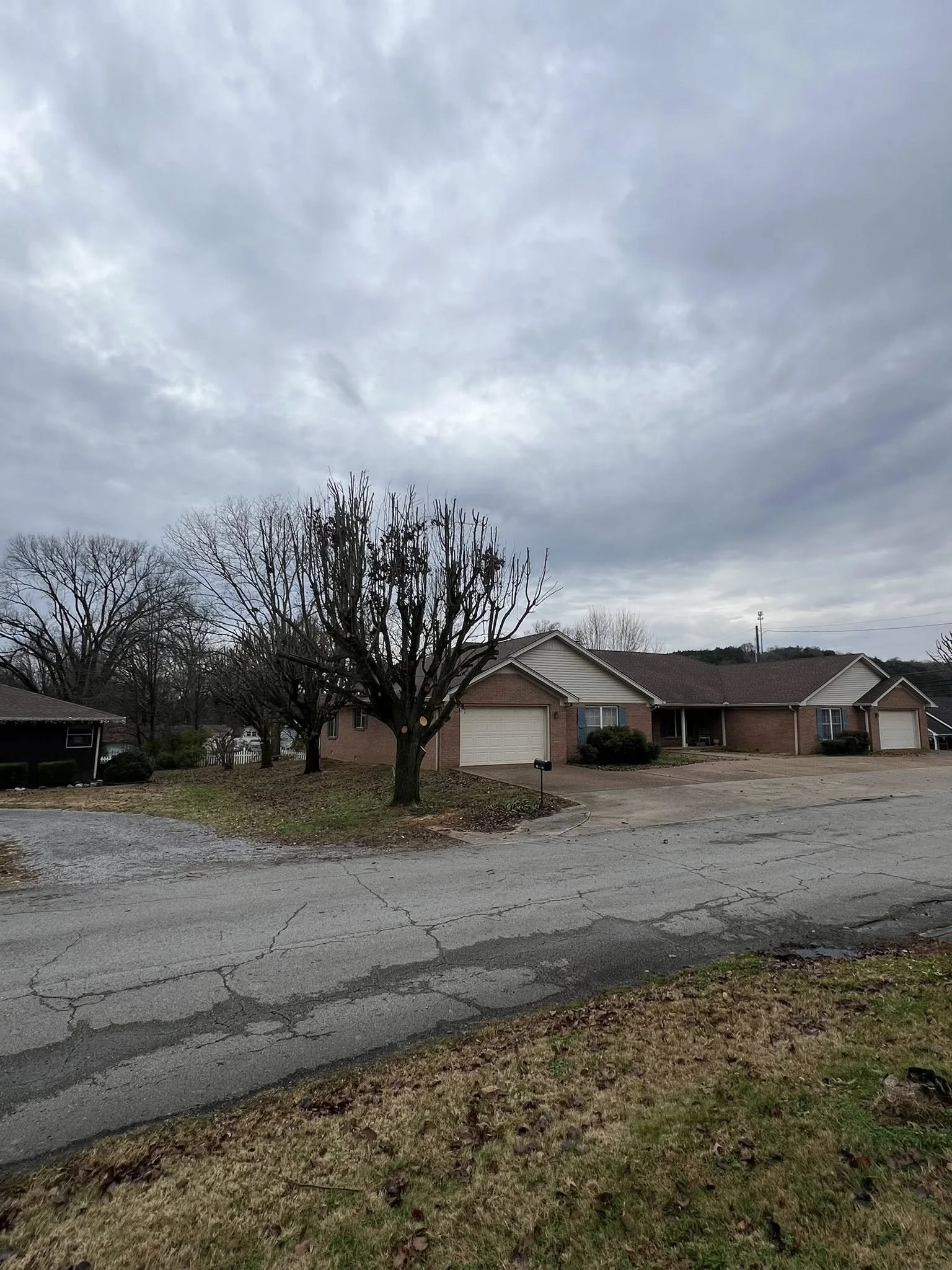 After tree trimming in Woodbury, TN showing improved clearance and cleaner appearance