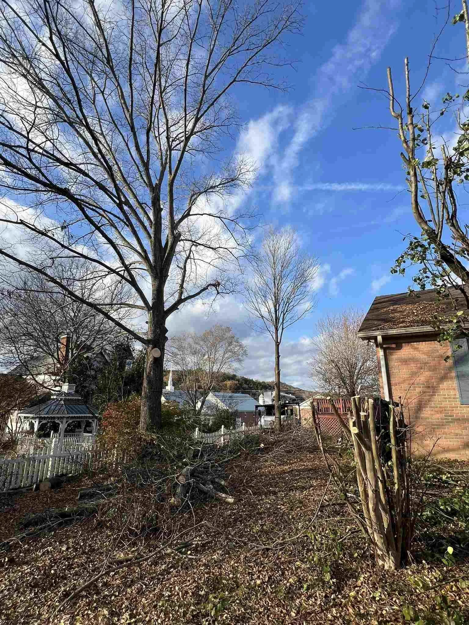 Residential tree trimming in Middle Tennessee to manage overgrowth and protect nearby property