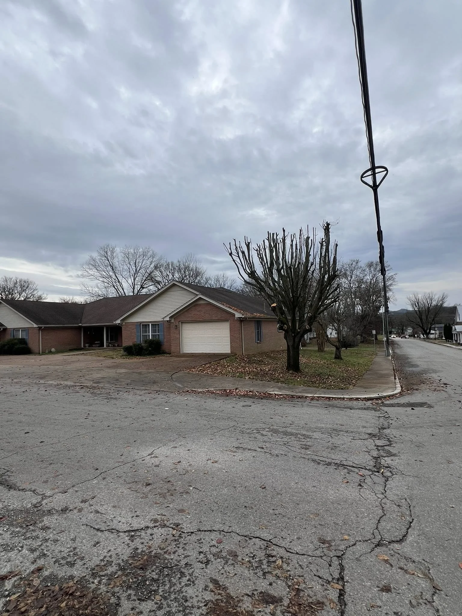 Tree trimming in Woodbury, TN to control overgrowth and improve visibility on a residential street