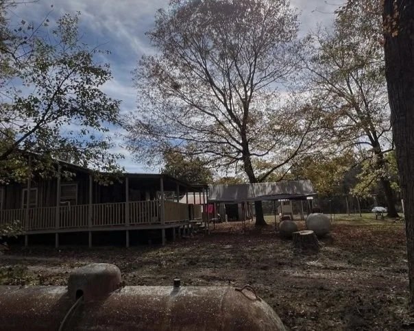 Finished stump grinding project in Grundy County, TN after grinding below ground level
