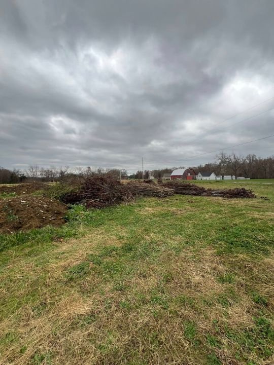 brush-removal-debris-piles-grundy-county-tn.jpg
