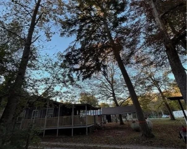 24/7 emergency tree service in Altamont TN – fast response for fallen trees and storm damage.