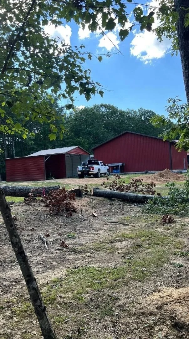 Tree removal in Altamont, TN on a rural property with logs cleared near a barn