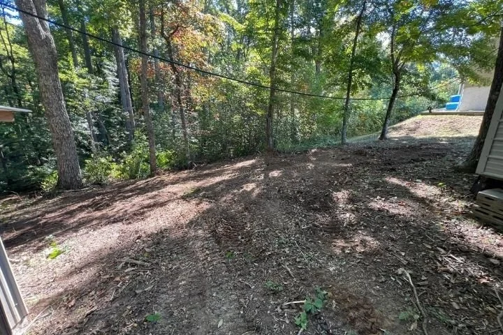 Land clearing in Altamont TN – brush removal, tree removal, and site preparation for building.