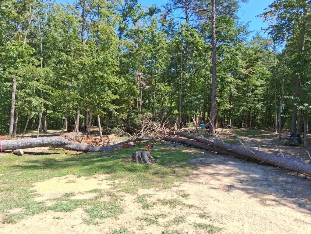 king-excavation-and-tree-services-project.jpg (3).jpg