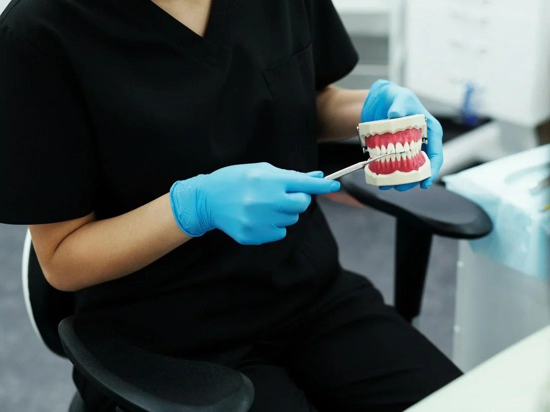 Dental professional using a tooth model to explain proper oral hygiene and brushing techniques.