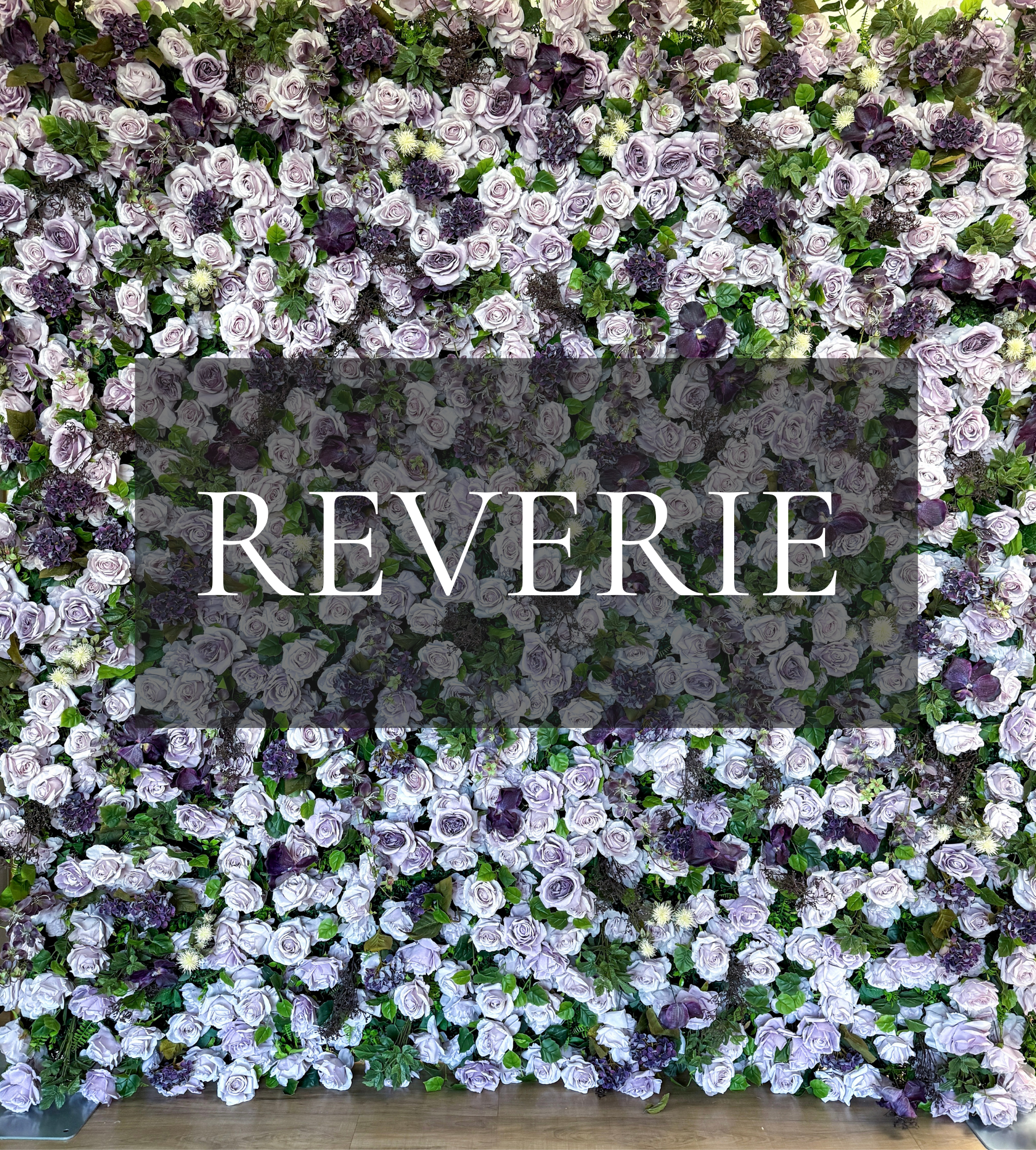 Soft lavender and mauve roses, deep plum blooms, lush green foliage.