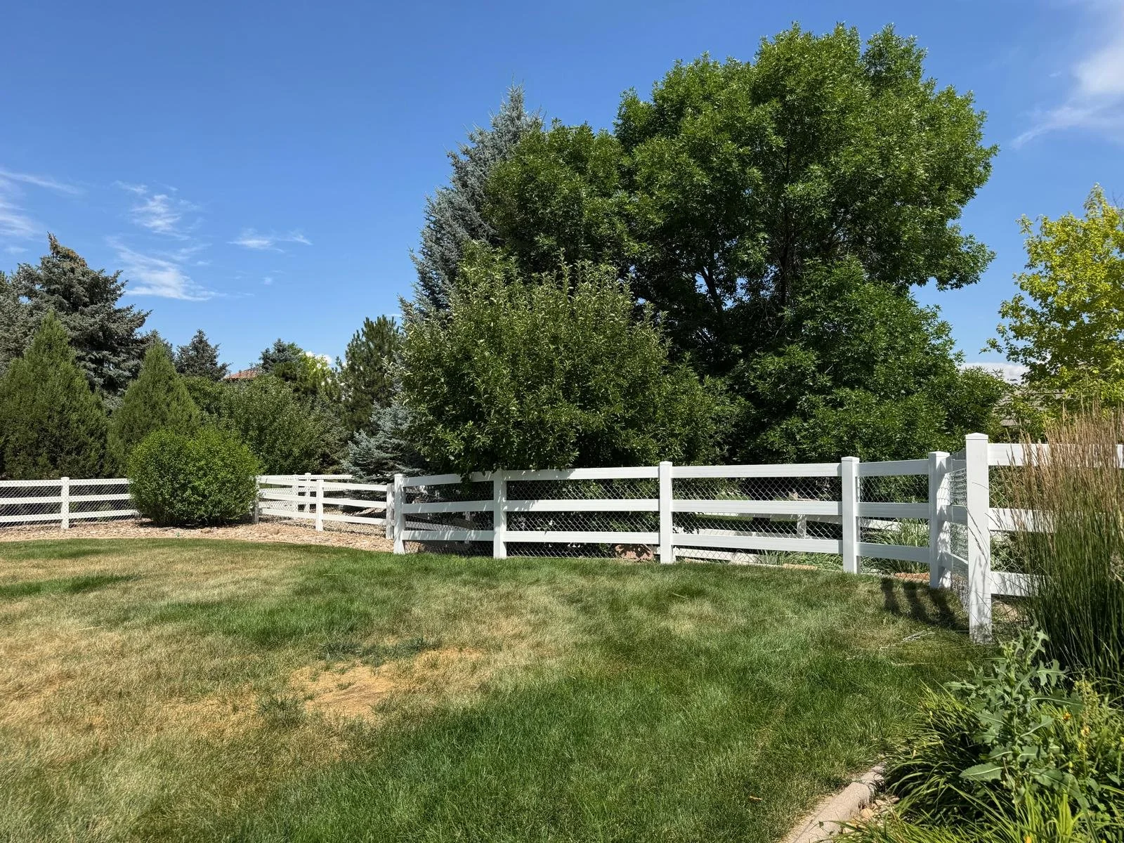 WhatsApp Image 2025-08-20 at 12.08.42 PM.jpeg