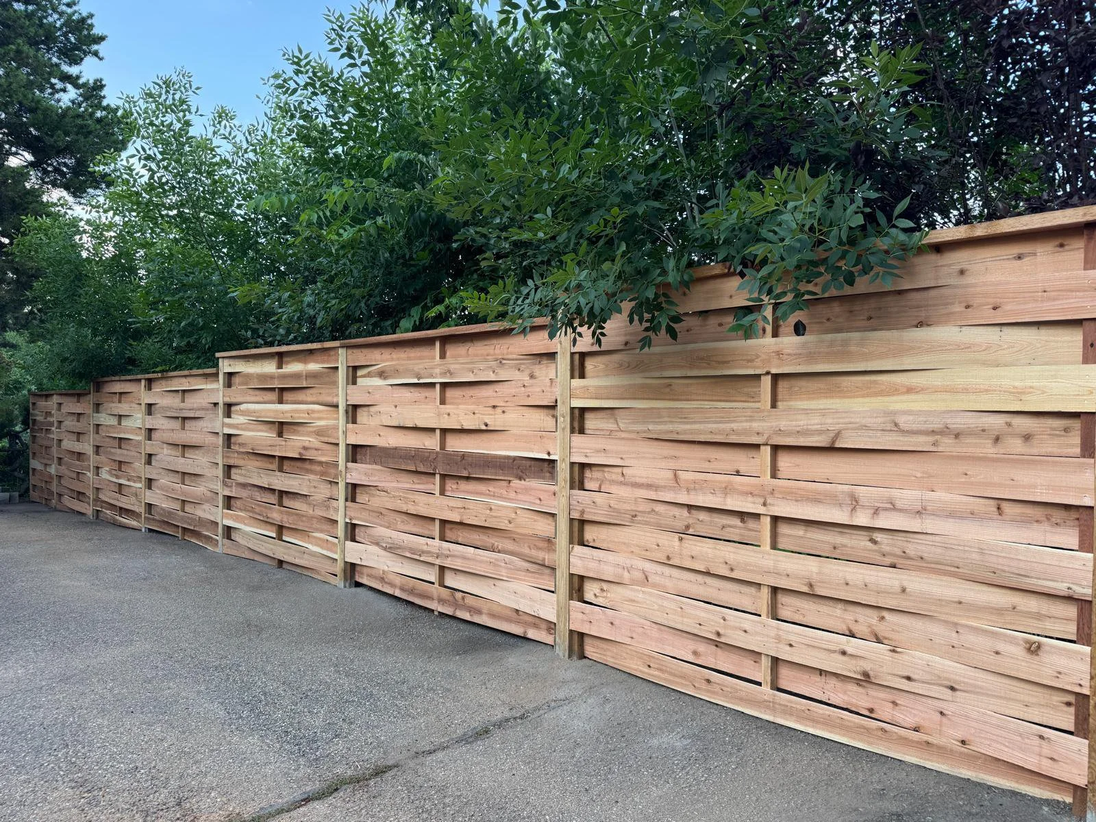 WhatsApp Image 2025-08-20 at 12.08.15 PM copy.jpg