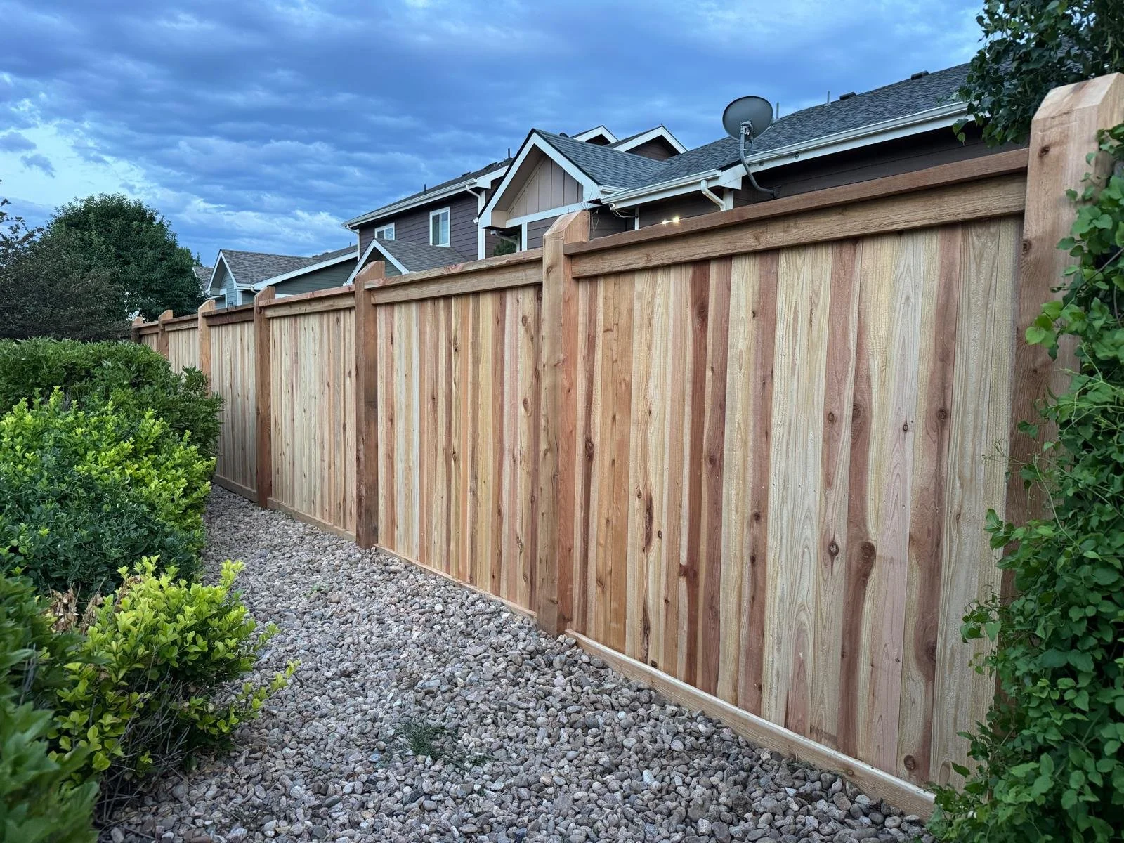 WhatsApp Image 2025-11-17 at 8.10.06 PM (3).jpeg