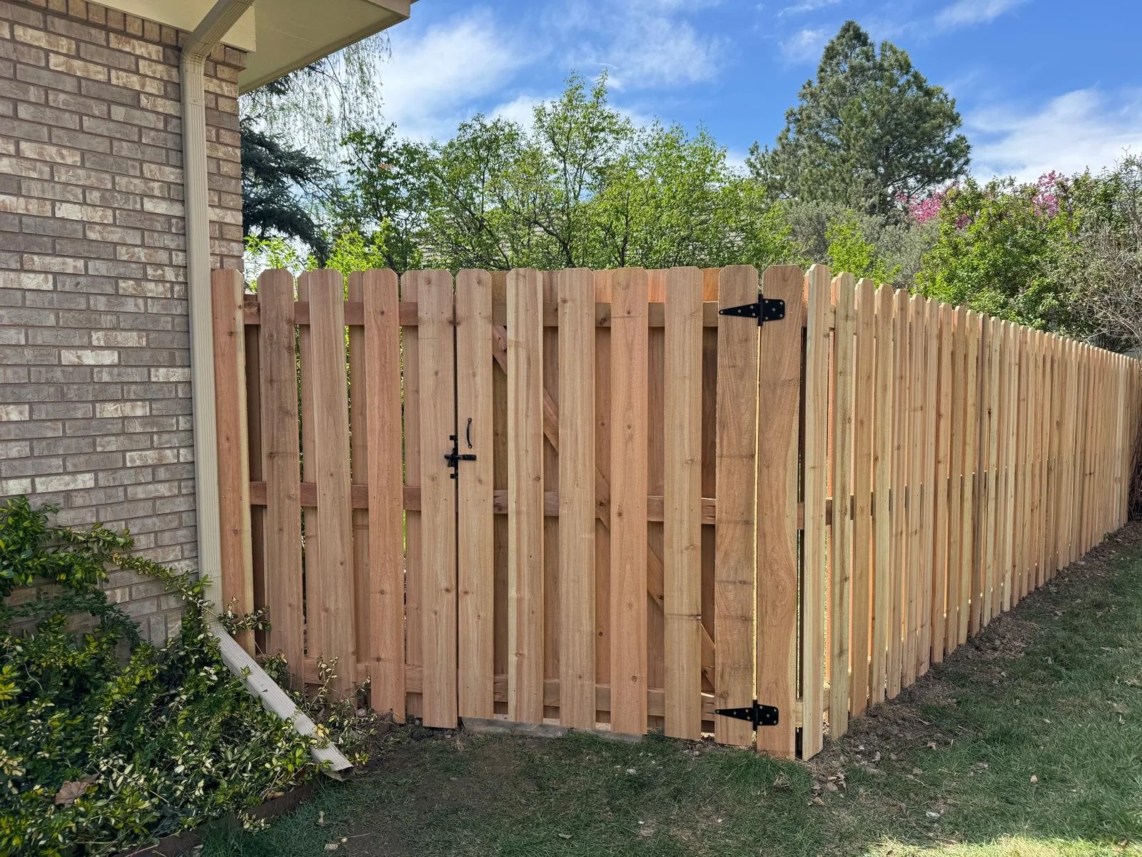 WhatsApp Image 2025-11-17 at 8.01.33 PM.jpeg