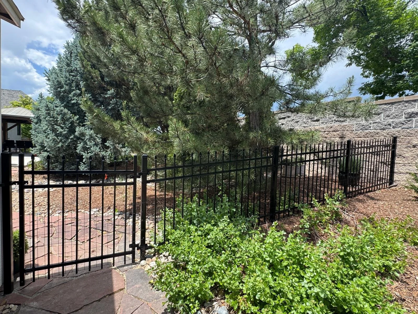 WhatsApp Image 2025-08-20 at 12.13.23 PM (2).jpeg