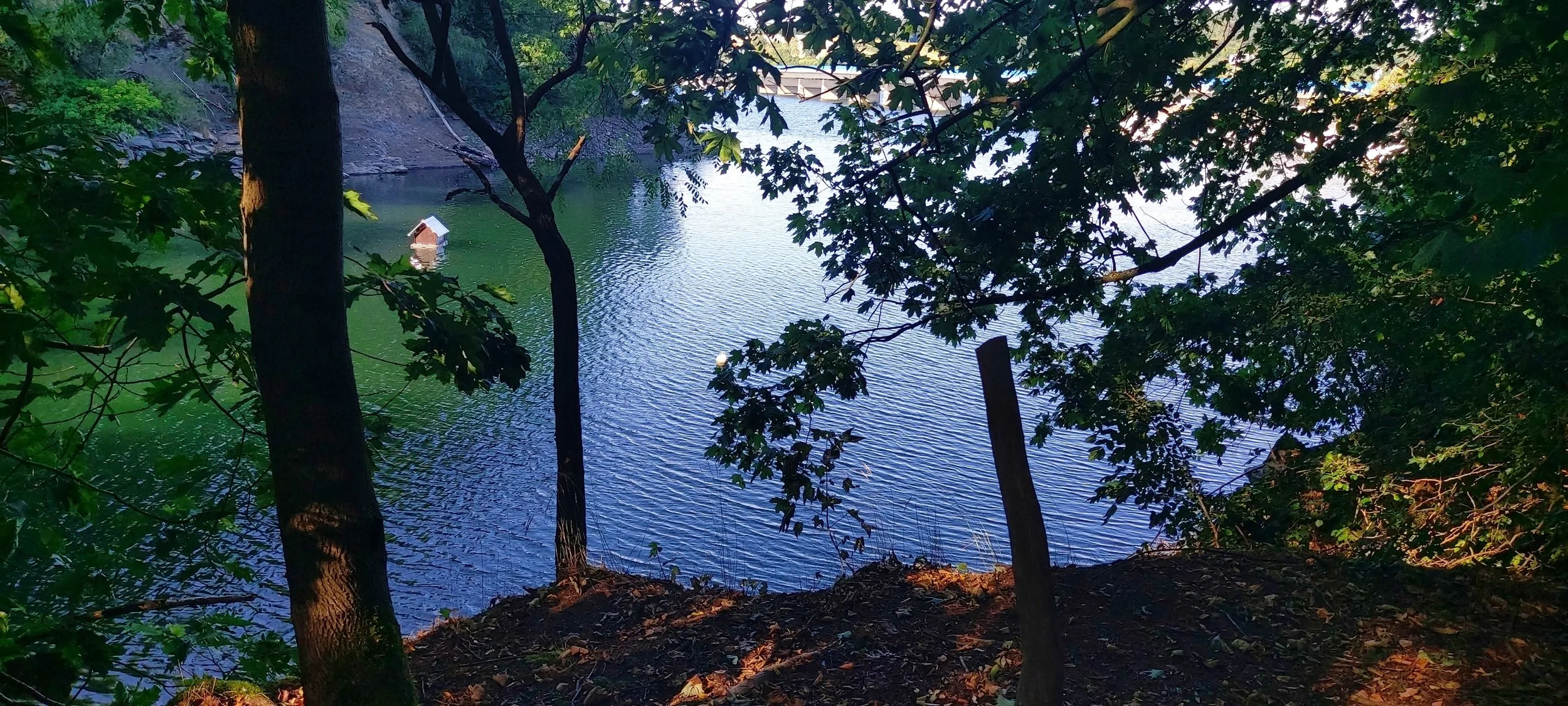 20260801_174216.jpg