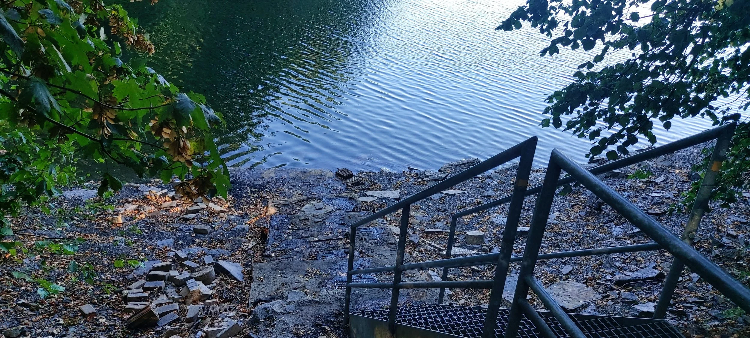 20260801_174254.jpg