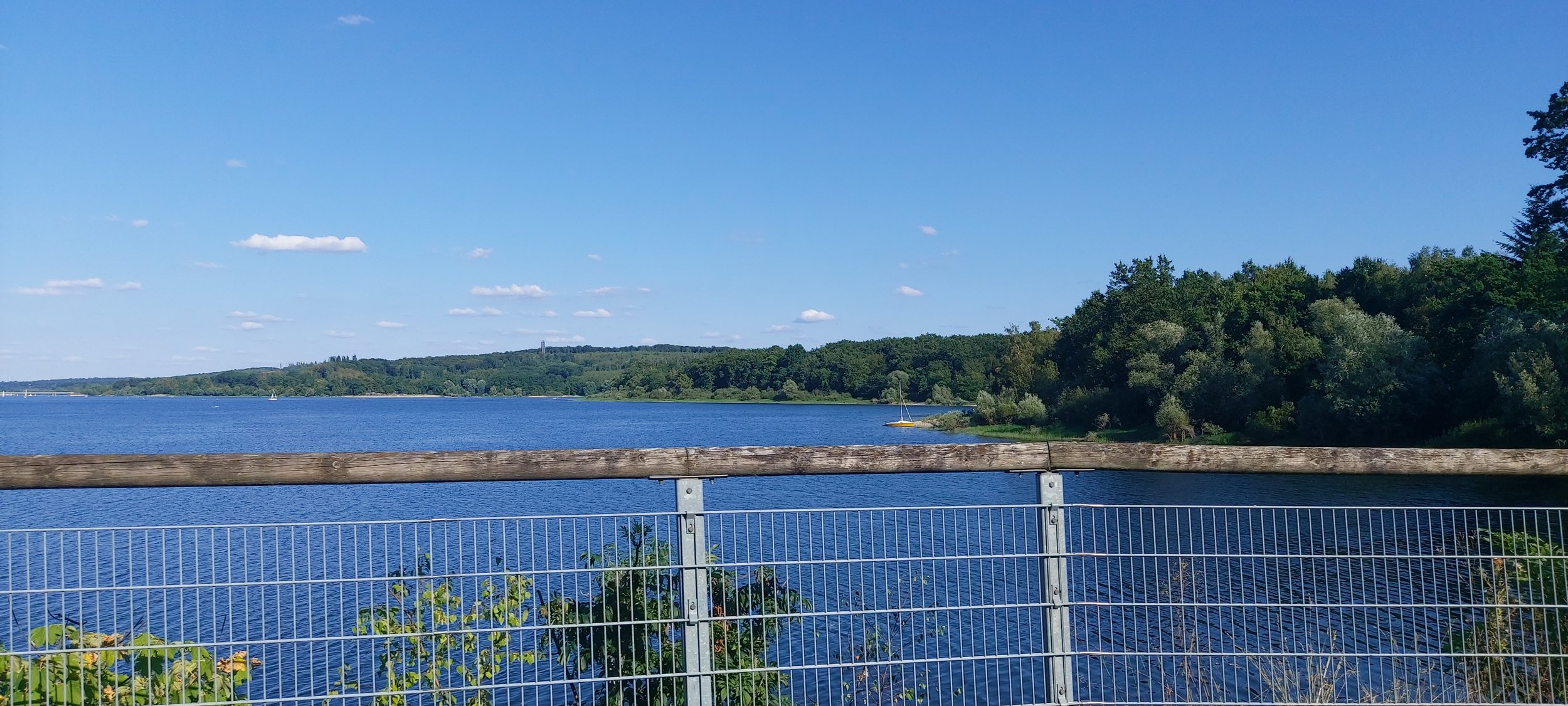 20260801_174615.jpg