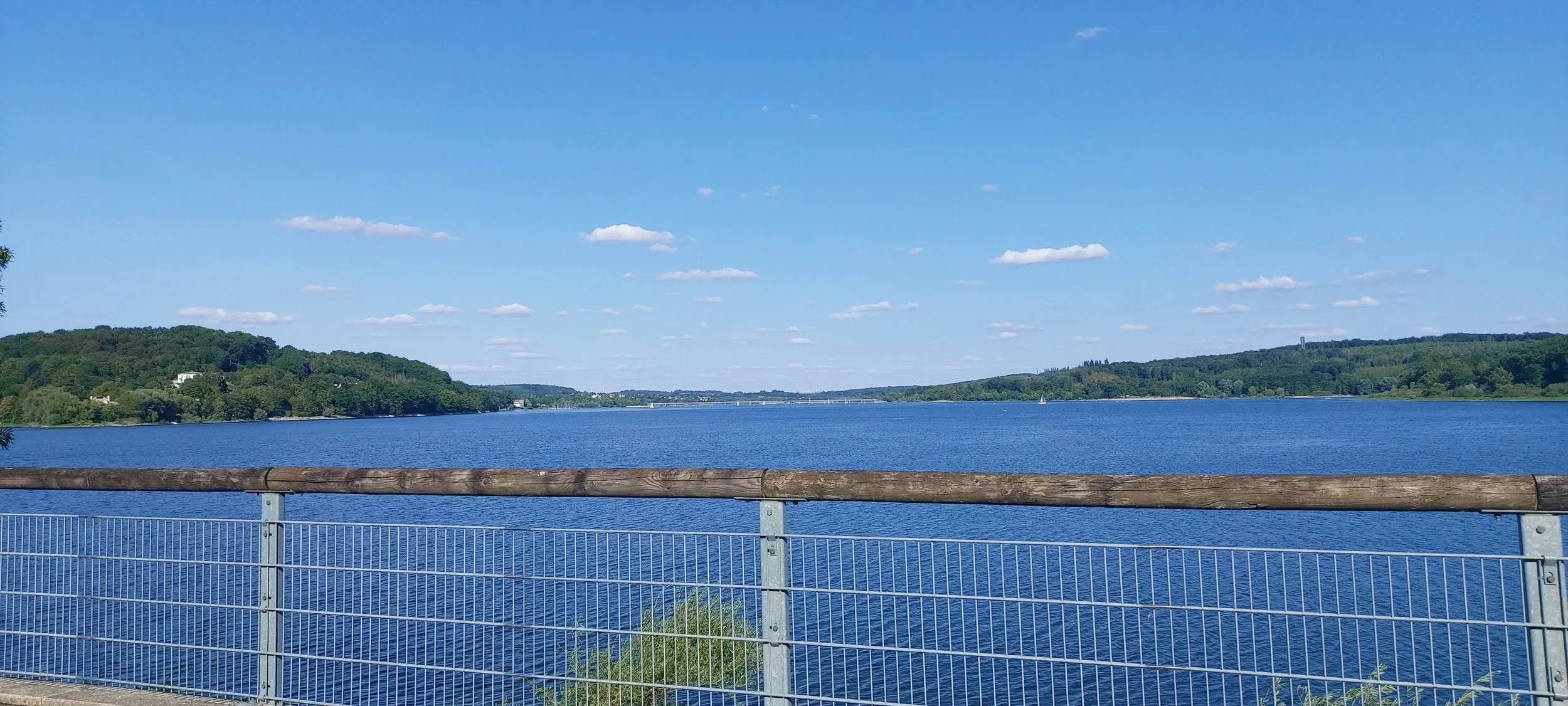 20260801_174617.jpg