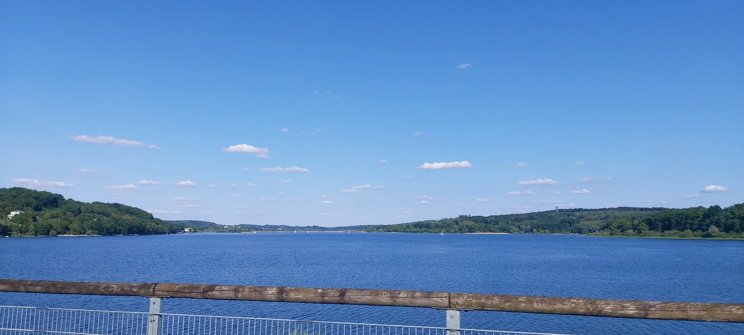 20260801_174621.jpg