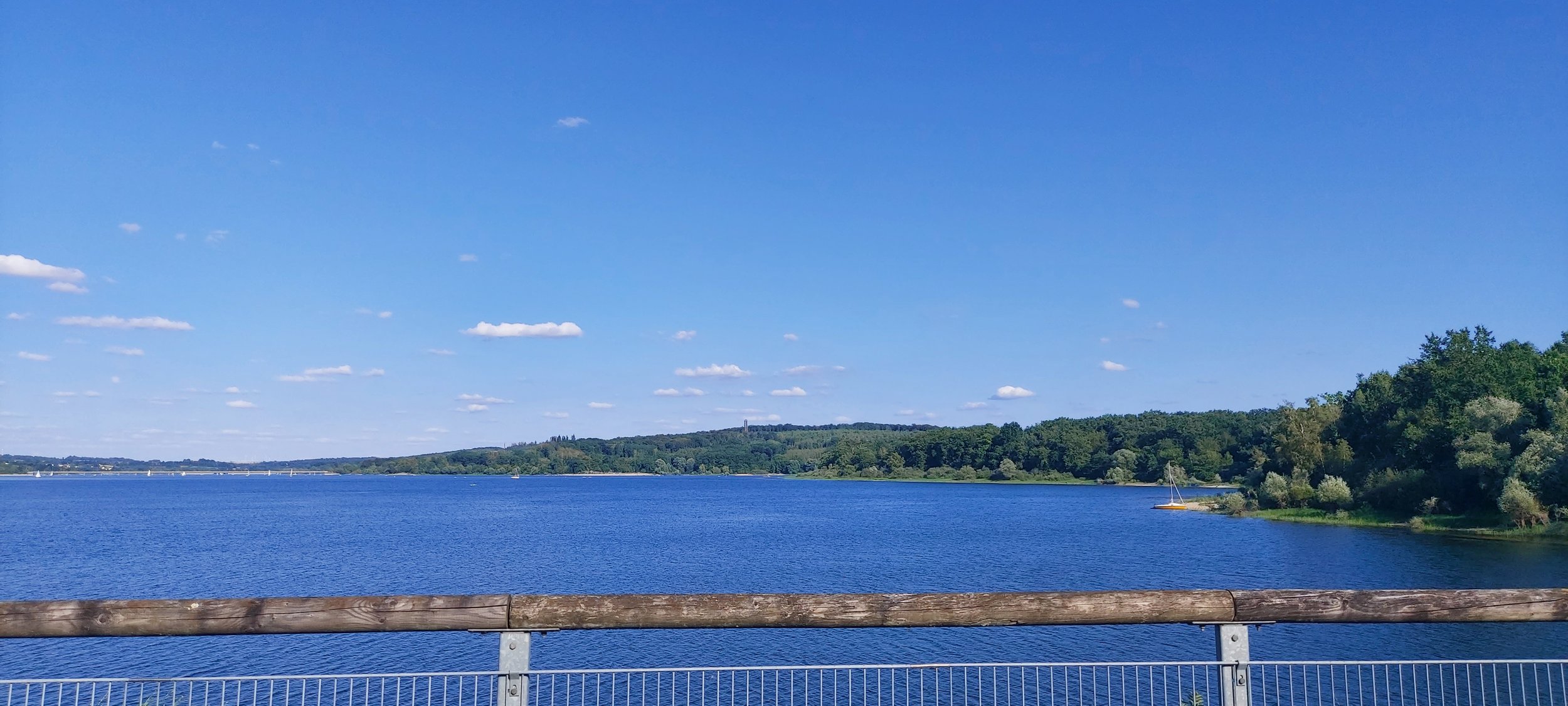 20260801_174623.jpg