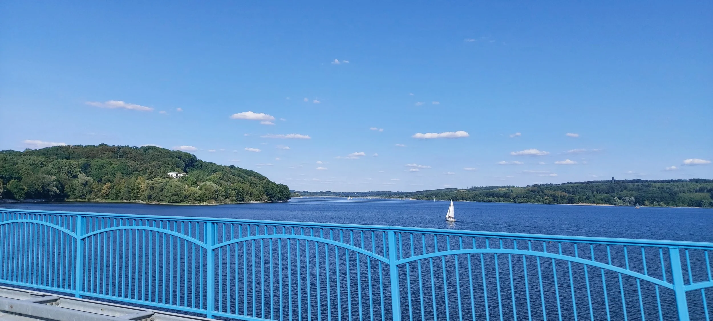 20260801_174700.jpg