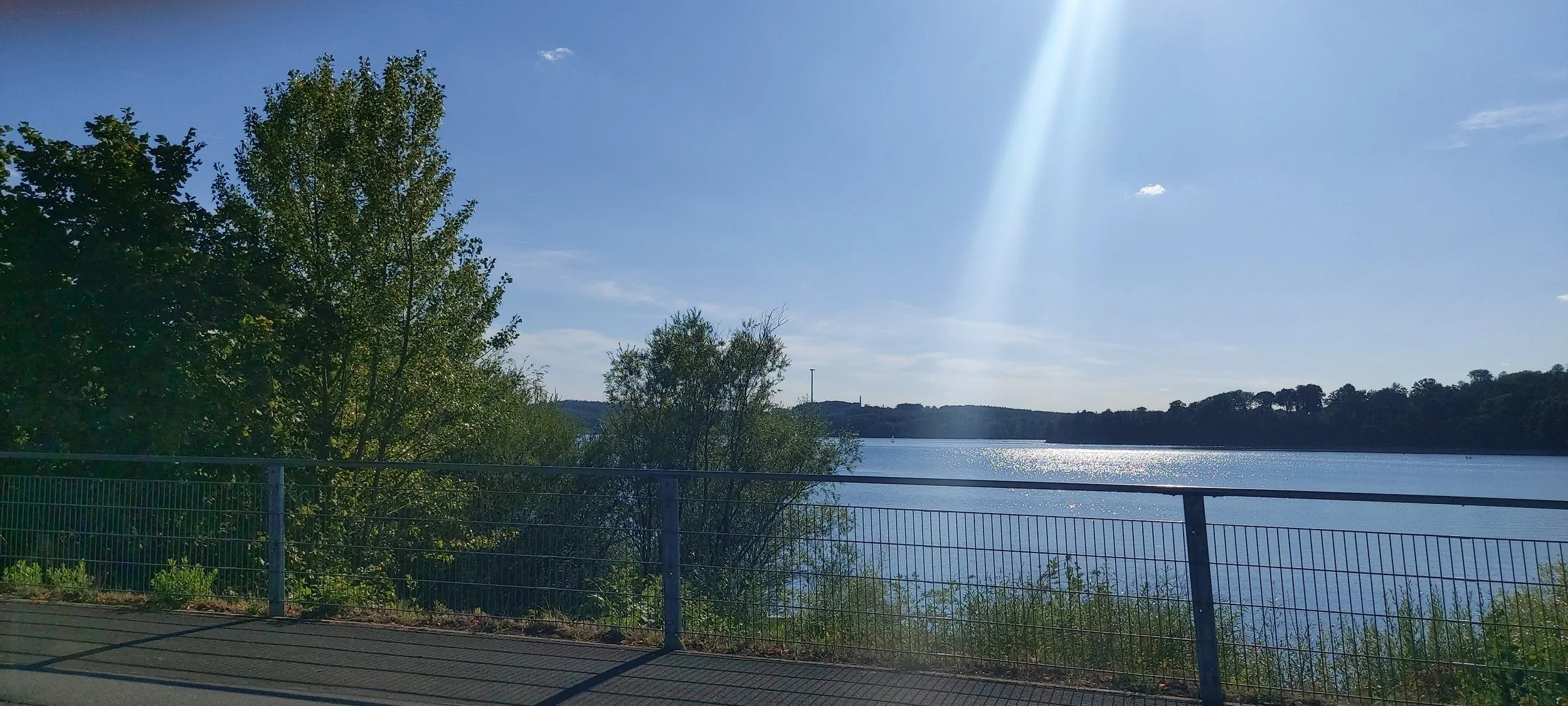20260801_174915.jpg
