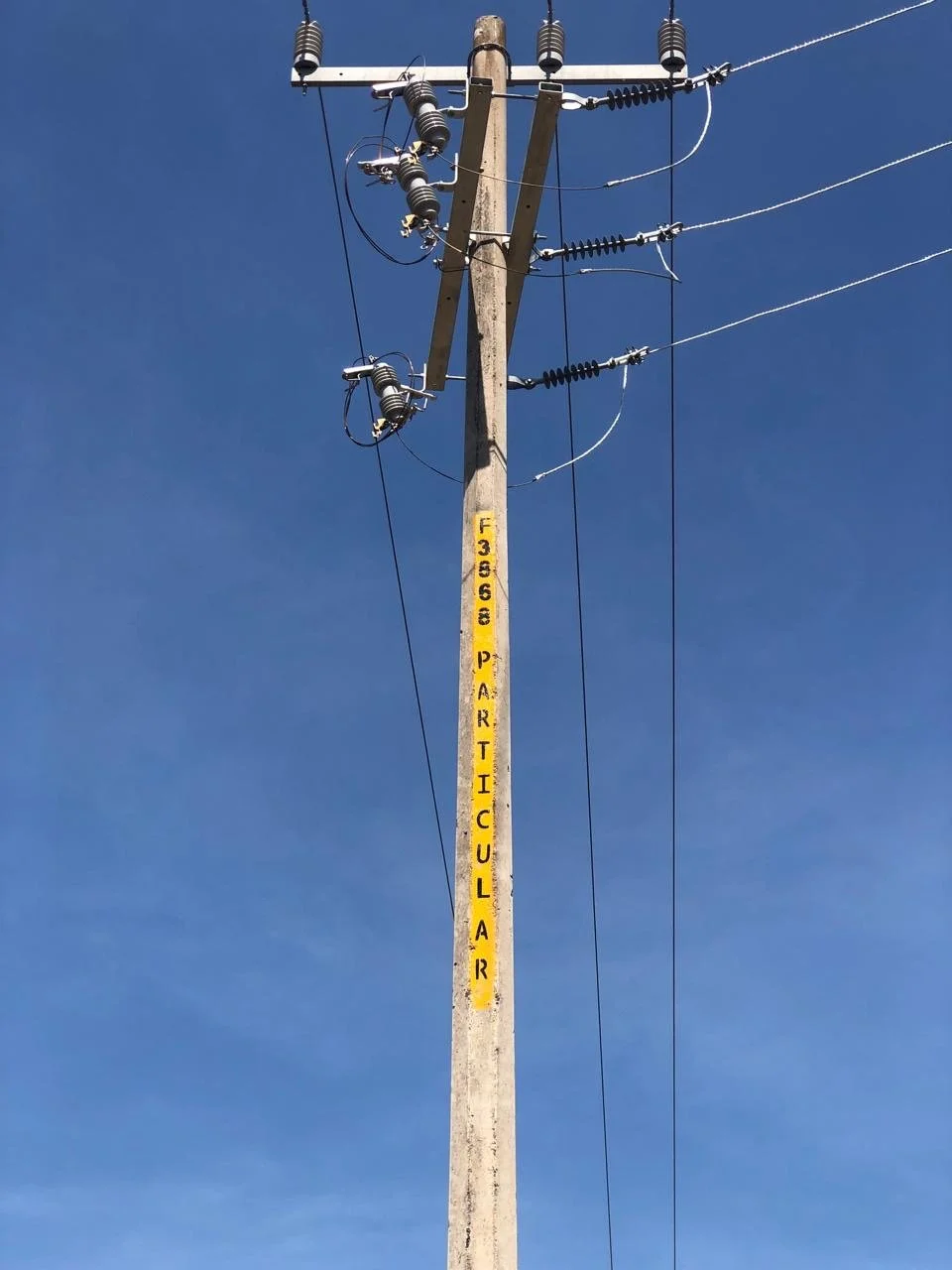 8ef56264-76bf-43ec-b068-3414b82c52f3.JPG