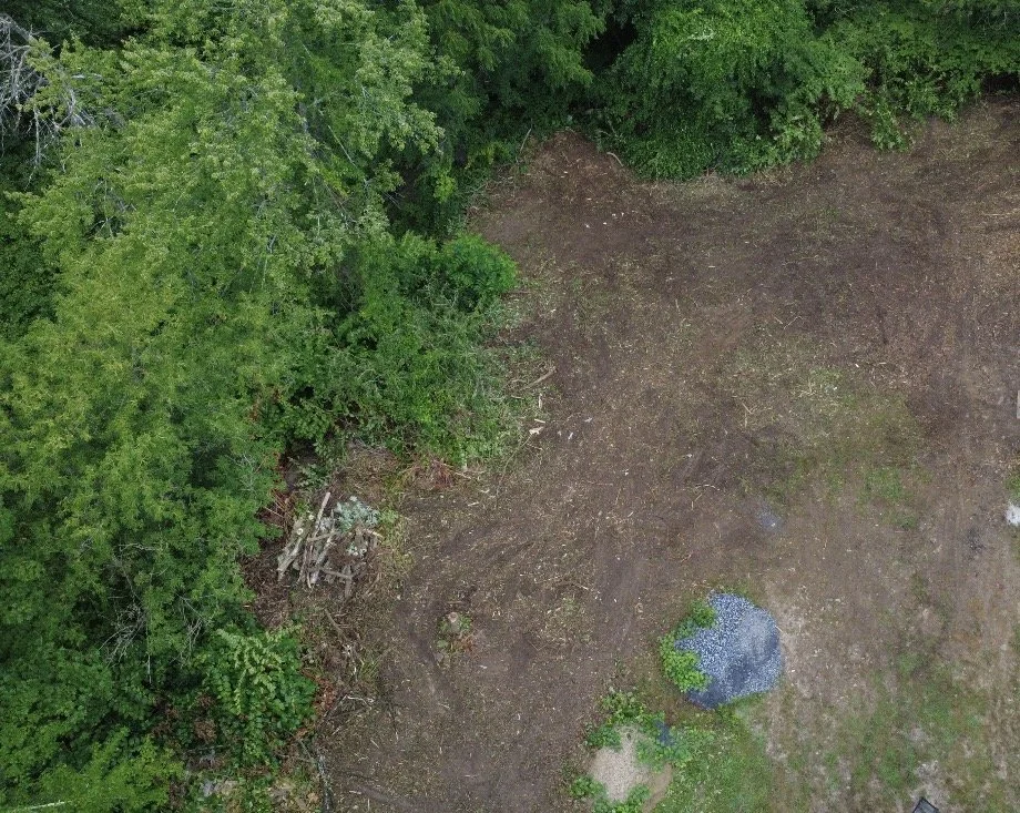 Land & Property Clearing