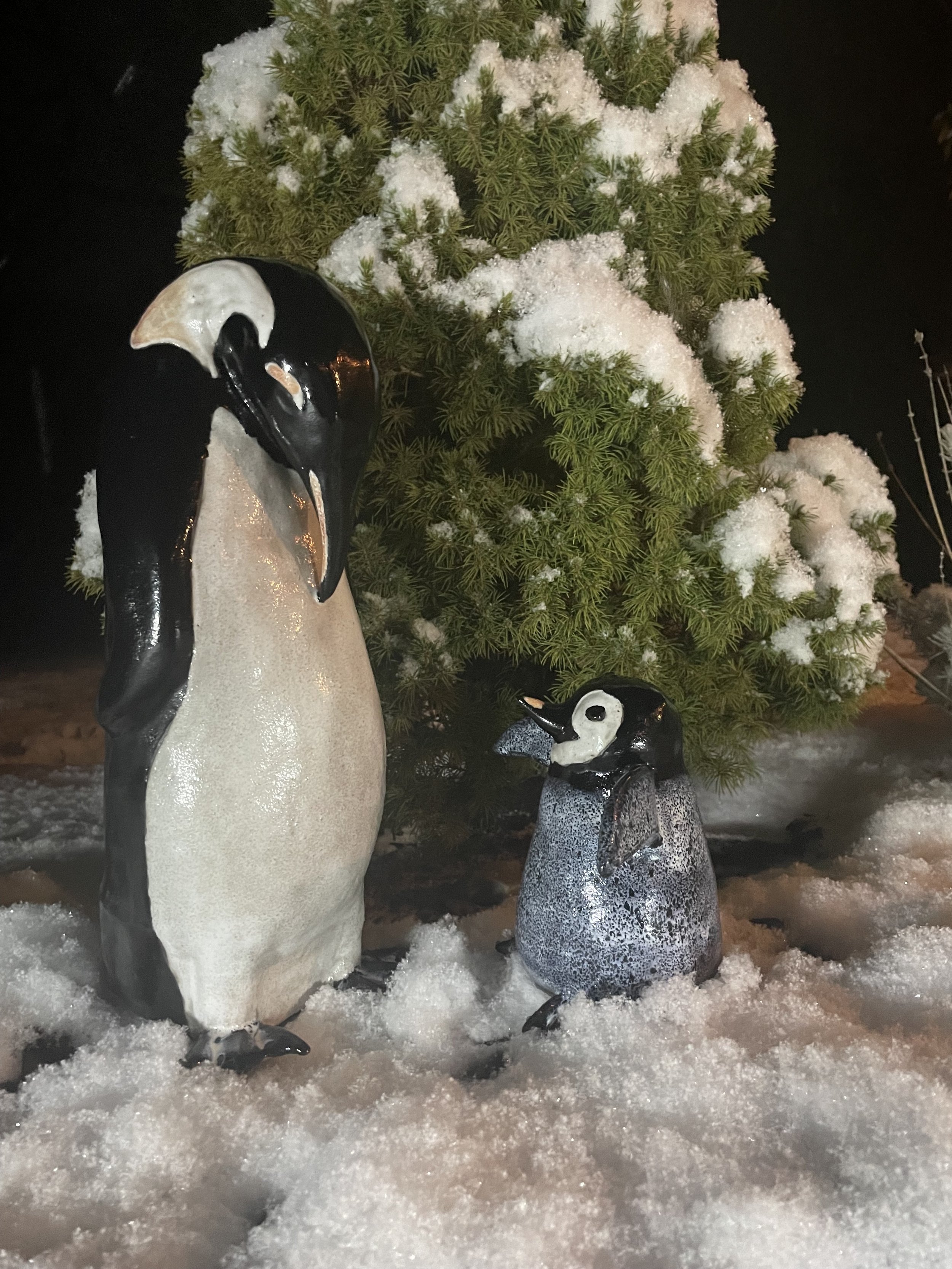 Penguin Dad and Son, playing in the snow! Dad is ~12"