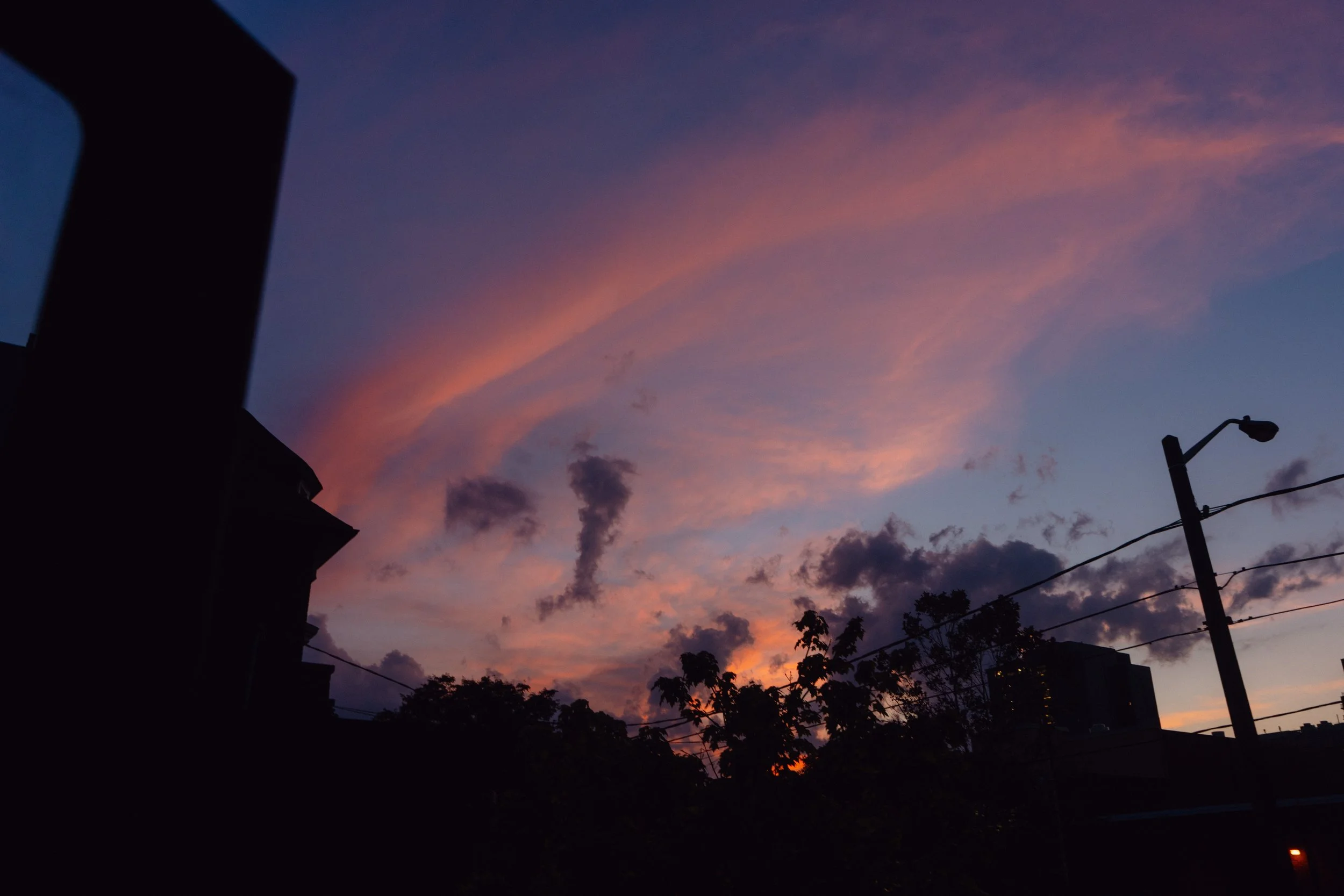 DSC07452.jpg