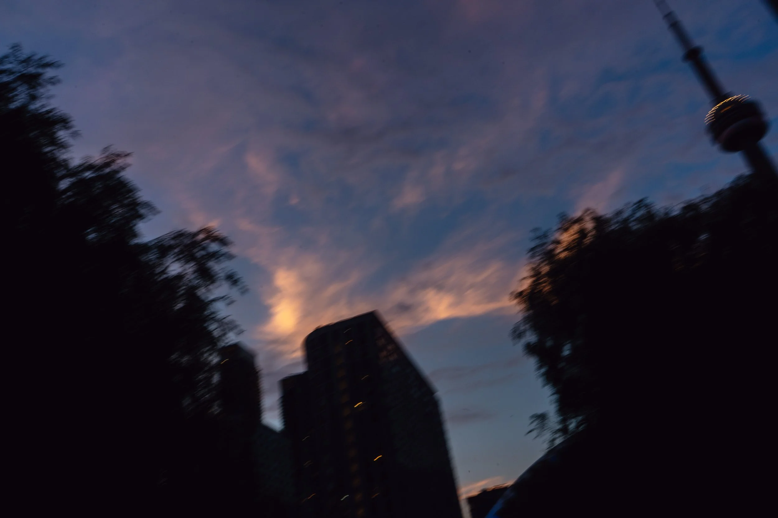DSC07405.jpg