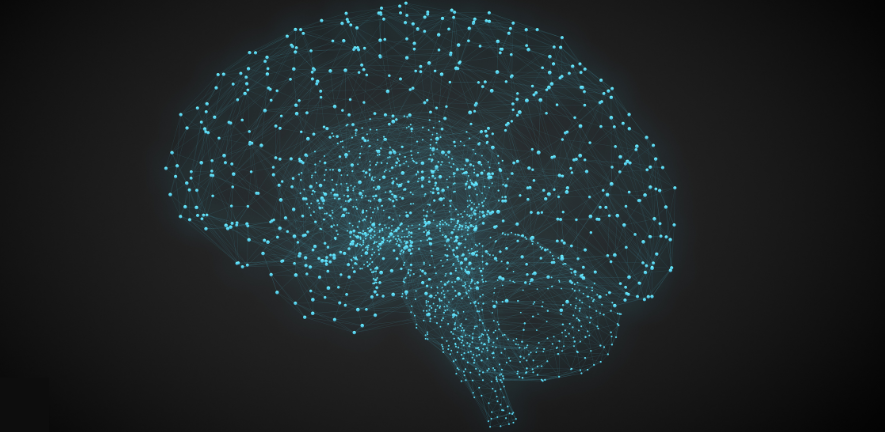 Understanding Stress: Neuroscience and Healthy Coping
