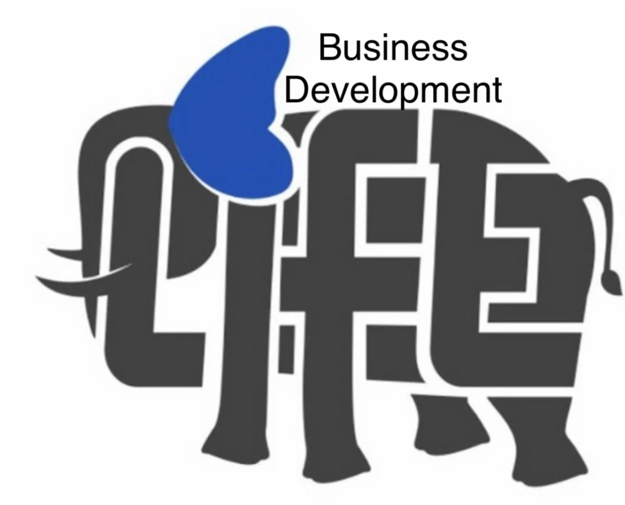 L.I.F.E Business Development 